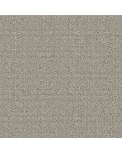 Masland Purebred Labrador Carpet - 9730-739