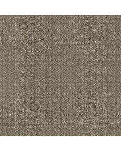 Masland Purebred Poodle Carpet - 9730-869