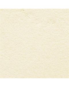 Masland Ravishing Captivating Carpet - 9625-102