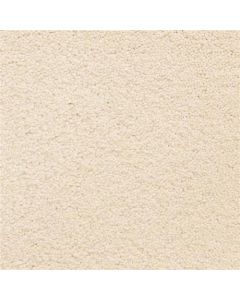 Masland Ravishing Adorable Carpet - 9625-117