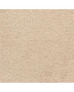 Masland Ravishing Pretty Carpet - 9625-118