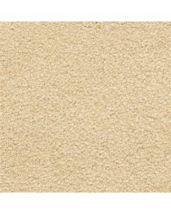 Masland Ravishing Appealing Carpet - 9625-208