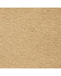 Masland Ravishing Charming Carpet - 9625-209