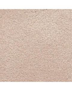 Masland Ravishing Chic Carpet - 9625-223