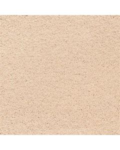 Masland Ravishing Beaming Carpet - 9625-246