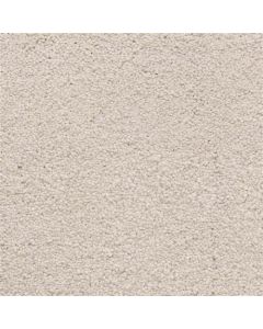 Masland Ravishing Beguiling Carpet - 9625-531