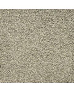 Masland Ravishing Amazing Carpet - 9625-533