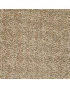 Masland Revival Tranquil Carpet - 9199-539