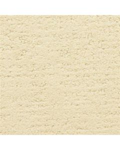 Masland Santa Barbara Coastal View Carpet - 9590-121