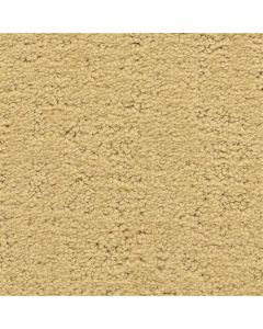 Masland Santa Barbara Cabrillo Blvd. Carpet - 9590-411