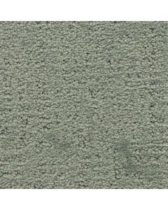 Masland Santa Barbara Chaparral Carpet - 9590-543