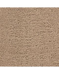 Masland Santa Barbara Anacapa Carpet - 9590-849