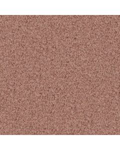 Masland Santa Rosa Fired Clay Carpet - 9713-265