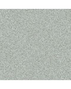 Masland Santa Rosa Beach Grass Carpet - 9713-635