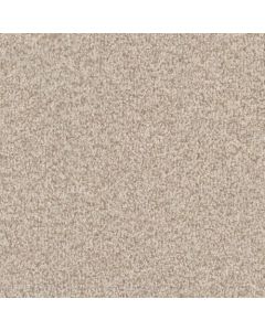 Masland Santa Rosa Boathouse Carpet - 9713-737