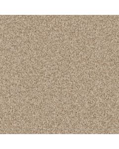 Masland Santa Rosa Driftwood Carpet - 9713-821