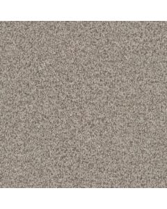 Masland Santa Rosa Boardwalk Carpet - 9713-859