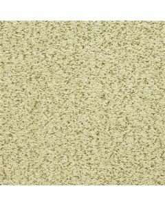 Masland Sea Grass Moss Carpet - 9556-546