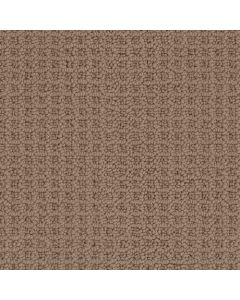 Masland Seascape Boardwalk Carpet - 9712-828