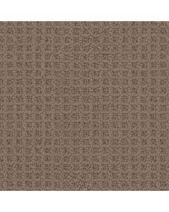Masland Seascape Driftwood Carpet - 9712-855