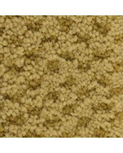 Masland Seurat Amber Carpet - 9440-361
