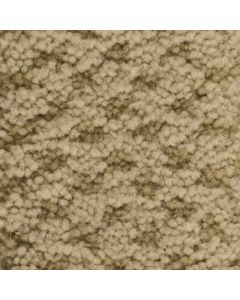 Masland Seurat Adobe Carpet - 9440-526