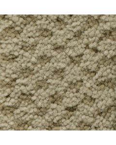 Masland Seurat Buff Carpet - 9440-579