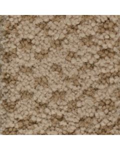 Masland Seurat Apricot Carpet - 9440-912