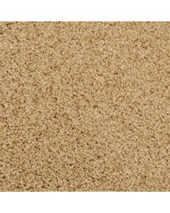Masland Shangri La Conway Carpet - 9433-538