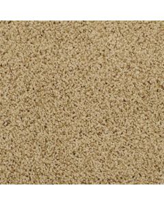 Masland Shangri La Lost Horizon Carpet - 9433-605