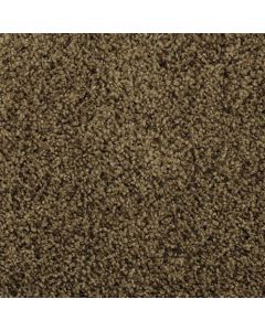 Masland Shangri La Lama Carpet - 9433-652