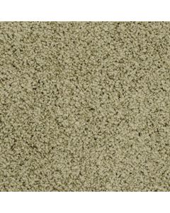 Masland Shangri La Idyllic Carpet - 9433-736