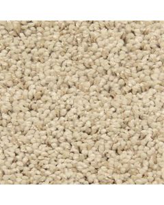 Masland Shangri La Too Exotic Realm Carpet - 9564-222