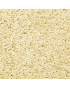 Masland Shangri La Too Contented Carpet - 9564-434