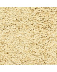 Masland Shangri La Too Beautiful Carpet - 9564-439