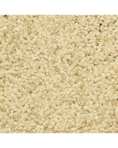 Masland Shangri La Too Baskul Carpet - 9564-544