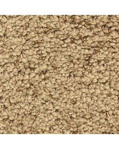 Masland Shangri La Too Harmonious Carpet - 9564-782
