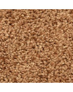 Masland Shangri La Too Euphoric Valley Carpet - 9564-979