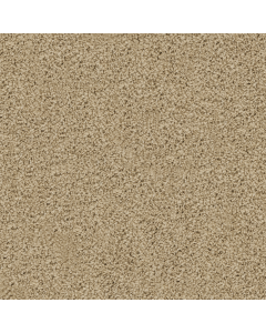 Masland Siena Volterra Carpet - 9738-181