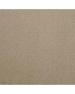 Masland Silk Touch Pixie Dust Carpet - 9515-238