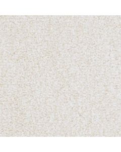 Masland St. Augustine Diligent Carpet - 9651-115