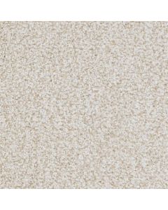Masland St. Augustine Abiding Beige Carpet - 9651-116