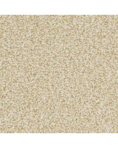 Masland St. Augustine Ageless Carpet - 9651-213
