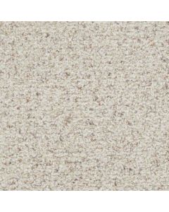 Masland St. Augustine Dependable Carpet - 9651-249