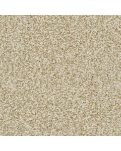 Masland St. Augustine Boundless Carpet - 9651-317