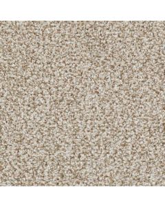 Masland St. Augustine Amazing Carpet - 9651-718