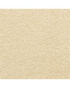 Masland Staccato Legato Carpet - 9591-111