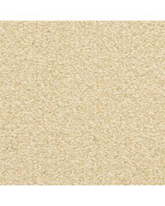 Masland Staccato Maestro Carpet - 9591-221