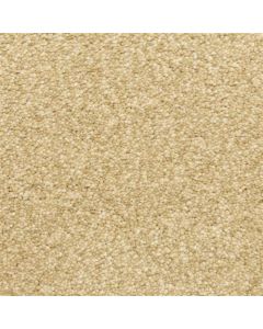 Masland Staccato Encore Carpet - 9591-232