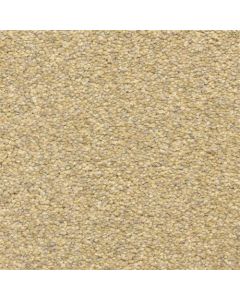 Masland Staccato Classical Carpet - 9591-253